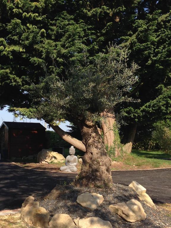 Le Domaine De Saint-Thomin Bed and Breakfast Nostang Exteriör bild